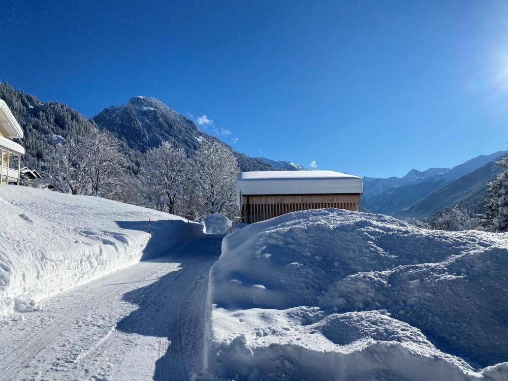 Haus Albuin Apartamento Sankt Gallenkirch Exterior foto